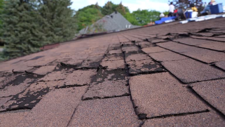 Best 4 Ply Roofing  in USA